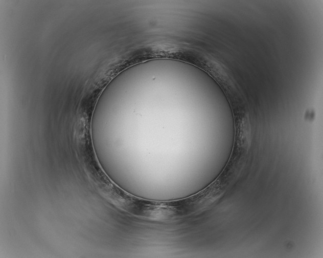 X0000113580463200910021657