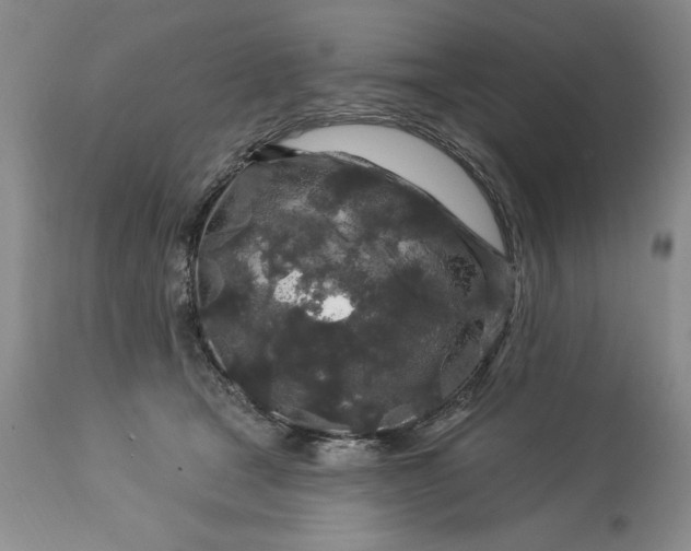 X0000113580465200910021657