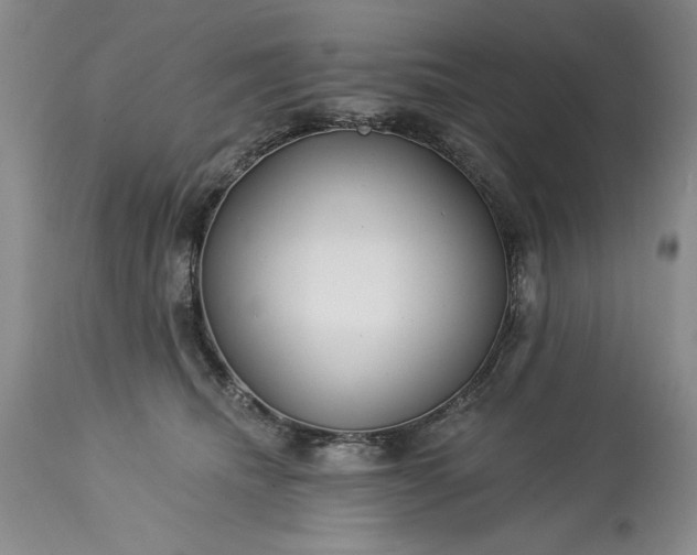 X0000113580468200910021657