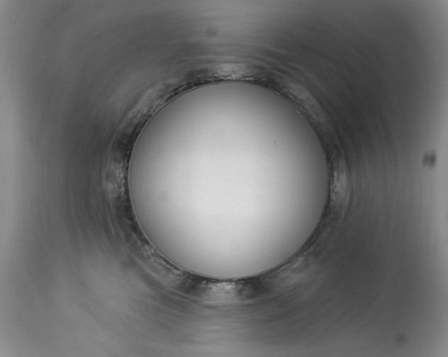 X0000113580473200910021657