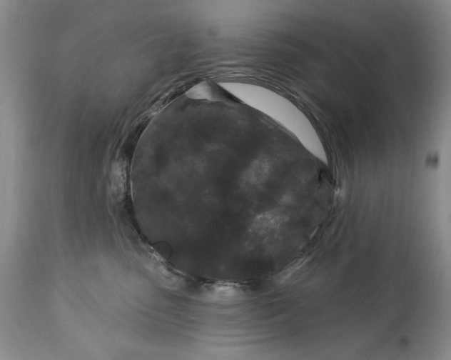 X0000113580475200910021657