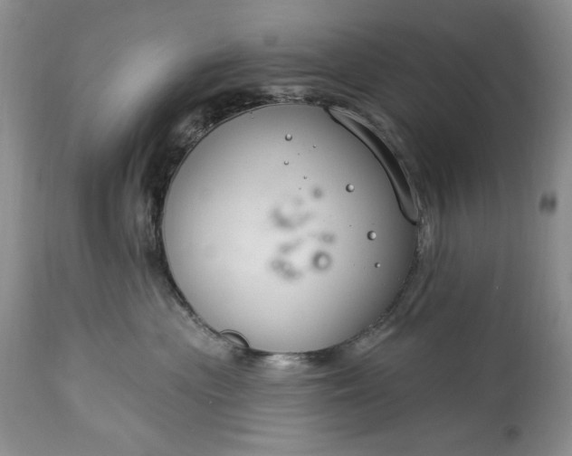 X0000113580477200910021657