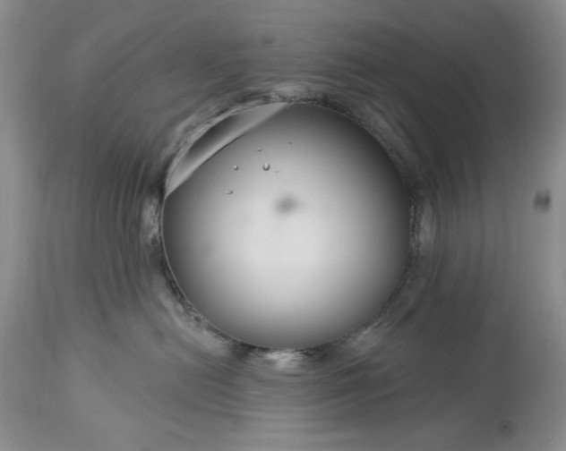 X0000113580478200910021657