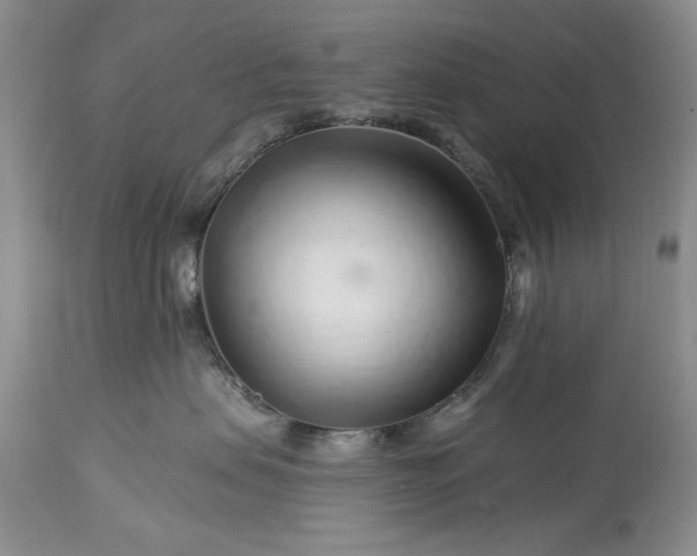 X0000113580479200910021657