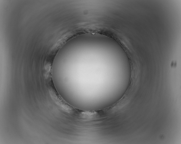 X0000113580480200910021657