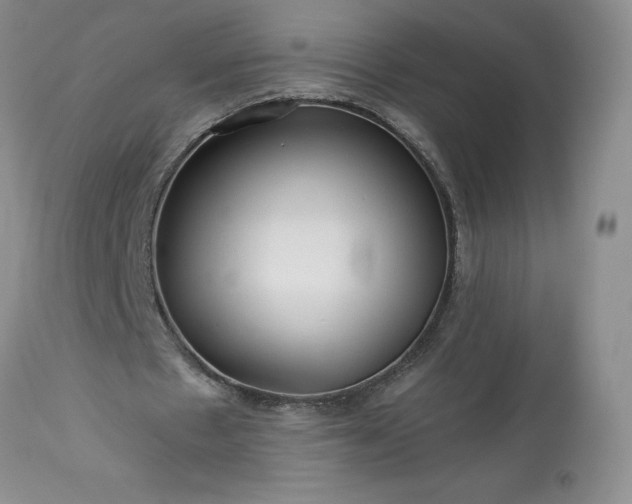 X0000113580481200910021657