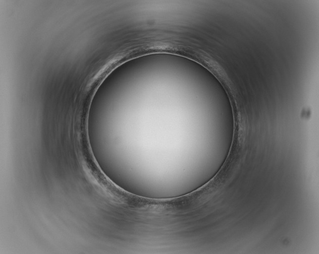 X0000113580482200910021657