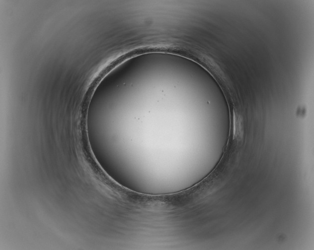 X0000113580483200910021657