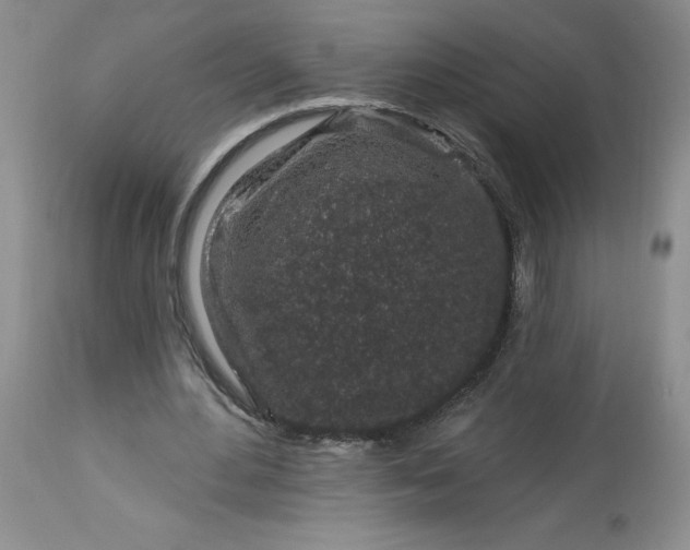 X0000113580484200910021656