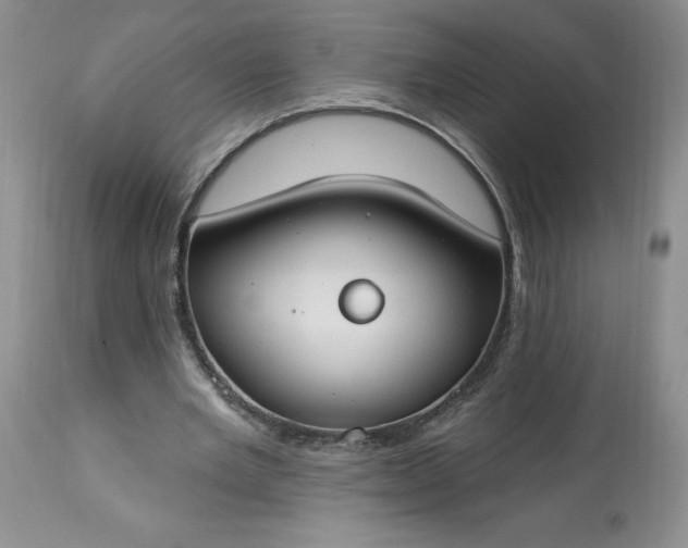 X0000113580485200910021656