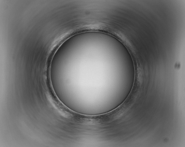 X0000113580486200910021656