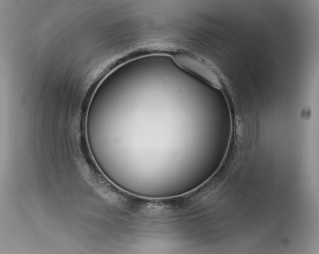 X0000113580487200910021656