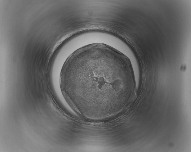 X0000113580488200910021656