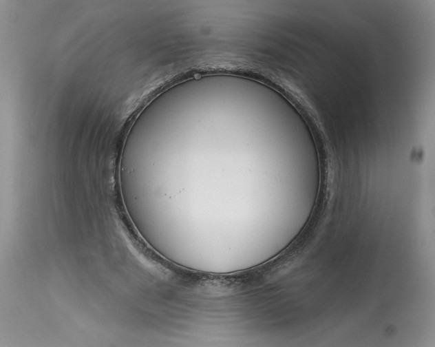 X0000113580489200910021656