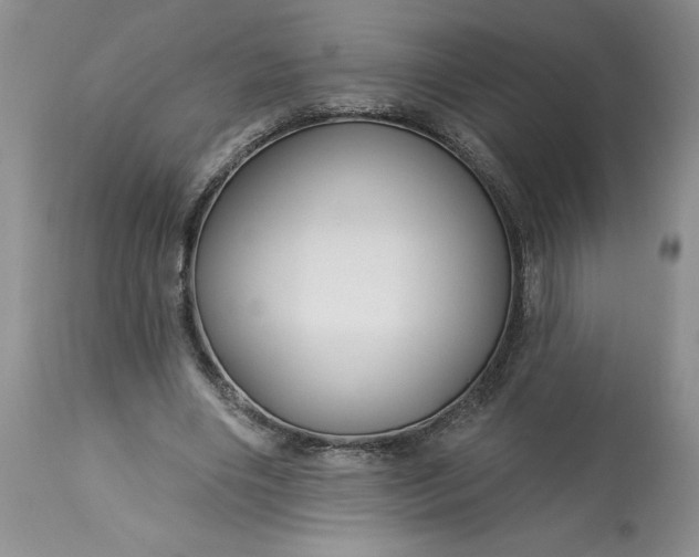 X0000113580490200910021656