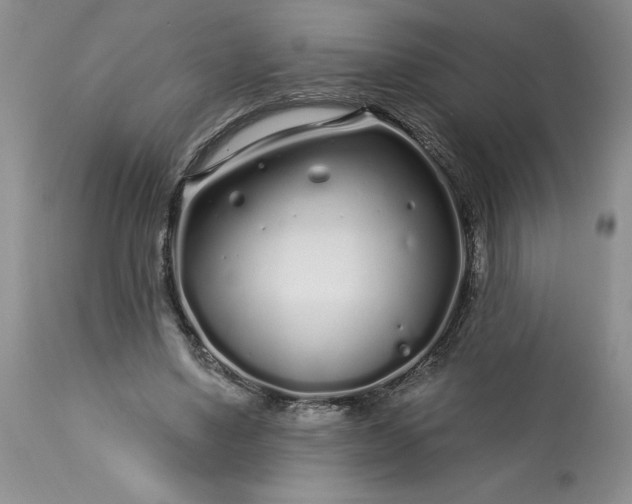 X0000113580491200910021656