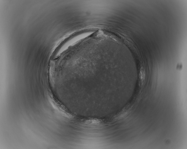 X0000113580492200910021656