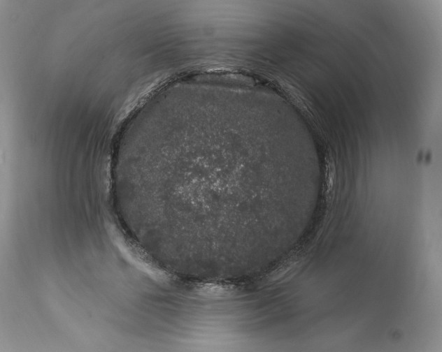 X0000113580494200910021656