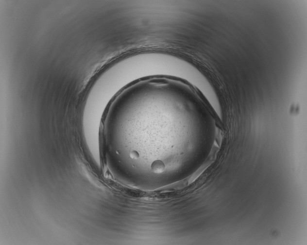 X0000113580496200910021656