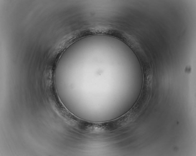 X0000113580498200910021656