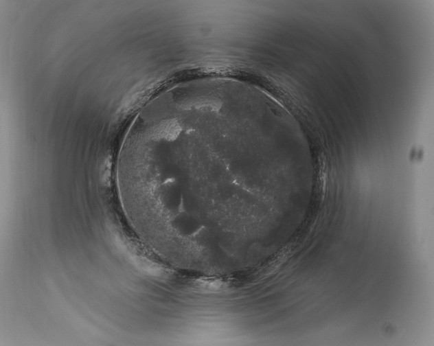 X0000113580502200910021656