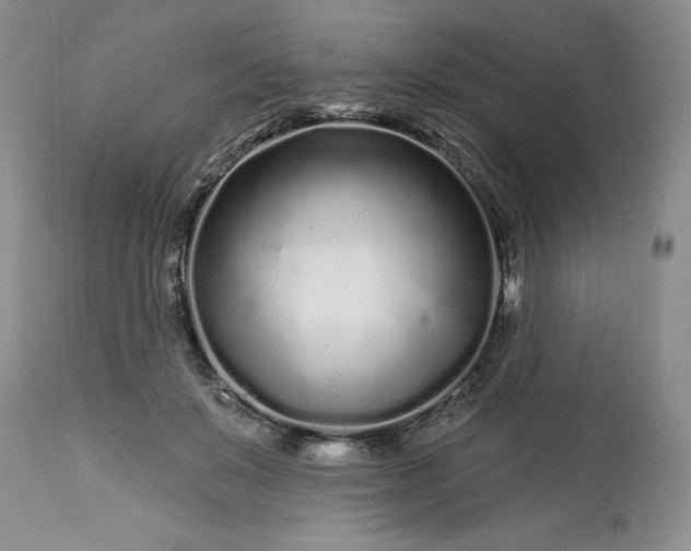 X0000113580503200910021656