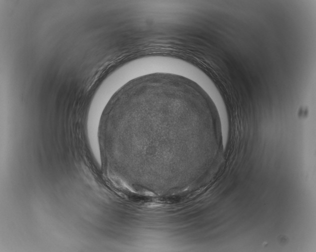 X0000113580504200910021656