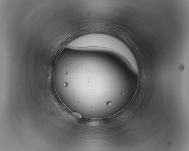 X0000113580505200910021656