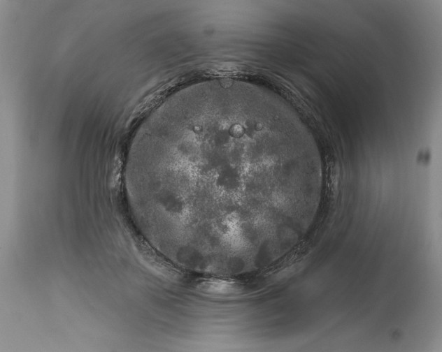 X0000113580507200910021656