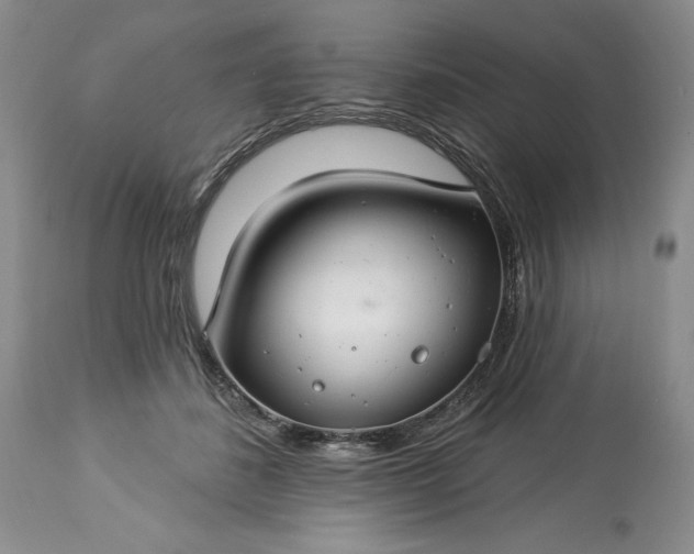 X0000113580508200910021656