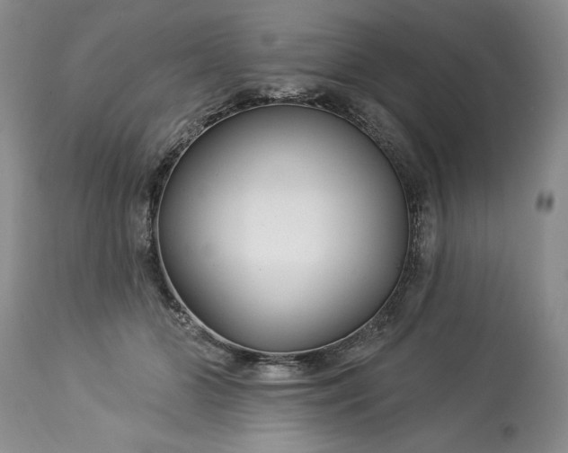 X0000113580510200910021656