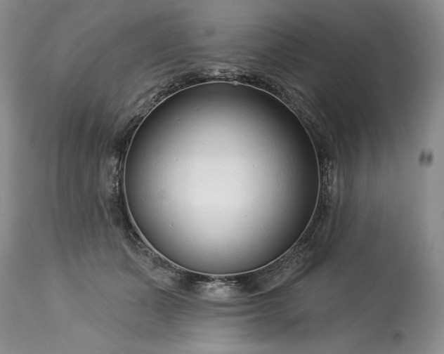 X0000113580511200910021656