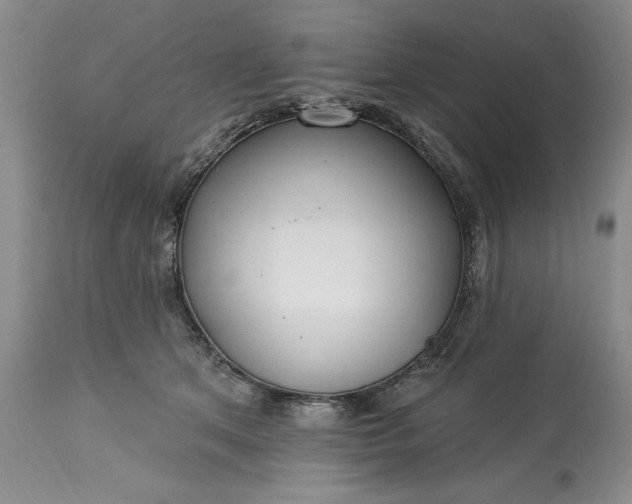 X0000113580513200910021656