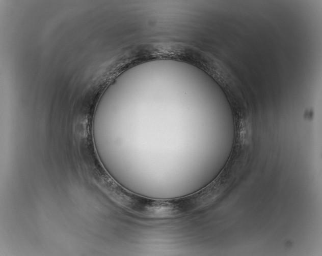 X0000113580514200910021656