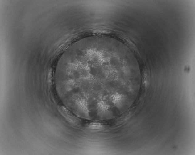 X0000113580519200910021656