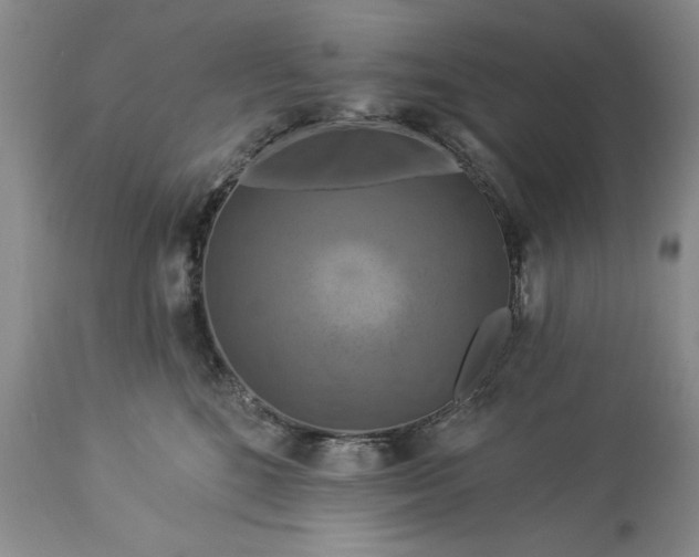 X0000113580520200910021656