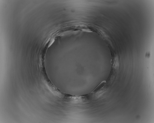 X0000113580524200910021656