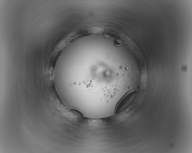 X0000113580525200910021656