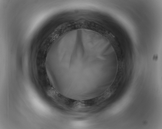 X0000113580526200910021656