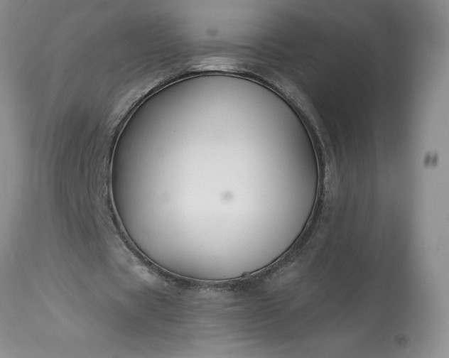 X0000113580529200910021655