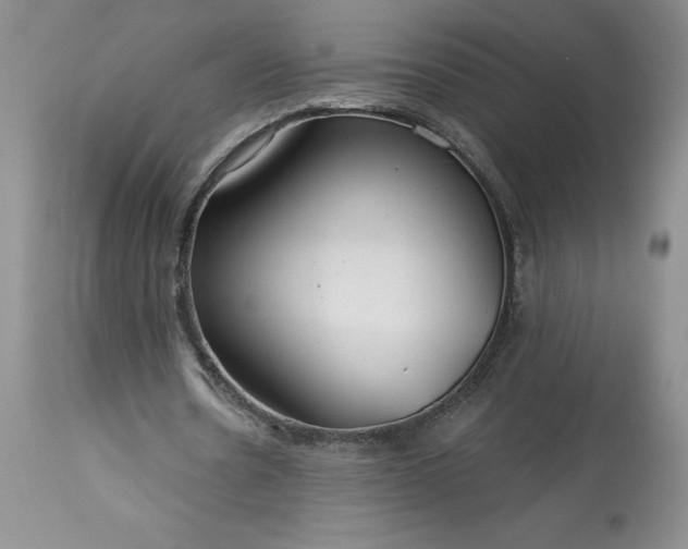 X0000113580530200910021655