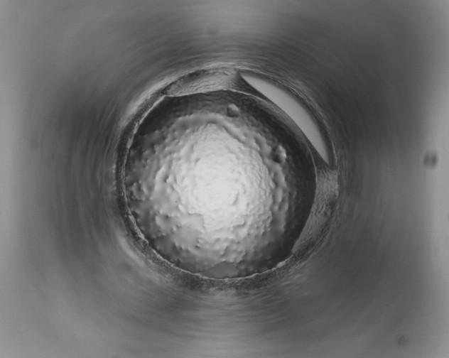 X0000113580531200910021655