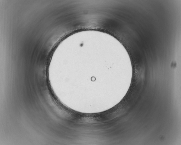 X0000113580534200910021655