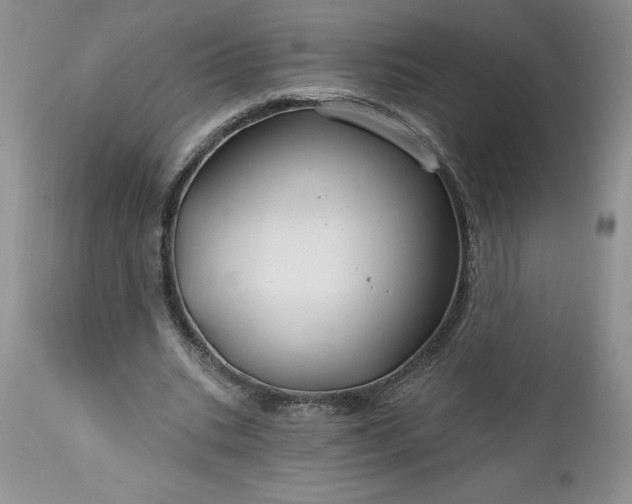 X0000113580535200910021655