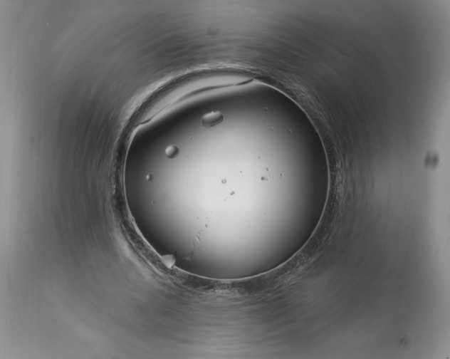 X0000113580536200910021655