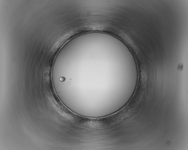 X0000113580537200910021655