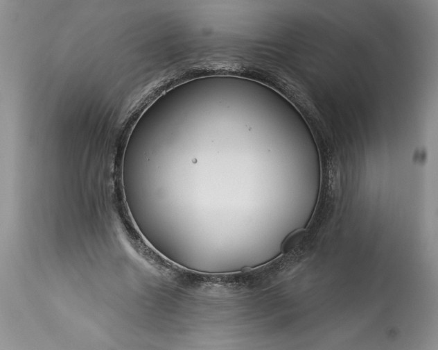 X0000113580538200910021655