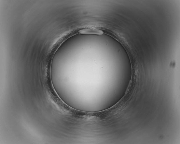 X0000113580539200910021655