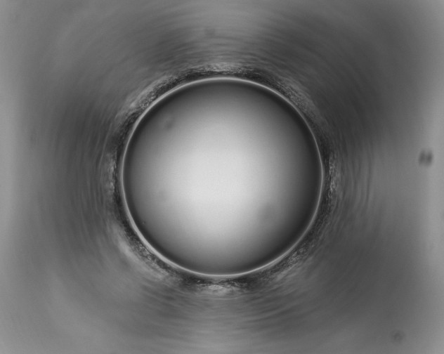 X0000113580542200910021655