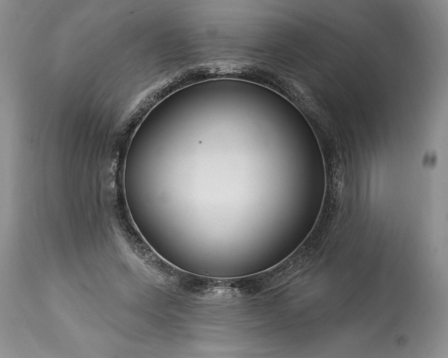 X0000113580543200910021655